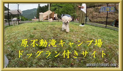 兵庫県のドッグラン付きキャンプ場【原不動滝キャンプ場】へ行ってきたのでレビューします（原観光りんご園）2024年4月